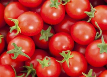 İTHAL VE YERLİ DOMATESTE LİMİT ÜSTÜ İLAÇ