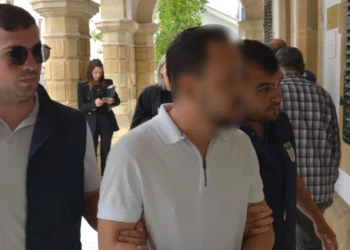 SAHTE BELGE, PARA TEMİN ETME VE GÜMRÜK YASASINA AYKIRI HAREKET