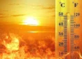 HAVA SICAKLIĞI 39-42 DERECE