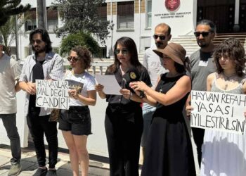 HAYVANLAR MAL DEĞİL CANDIR