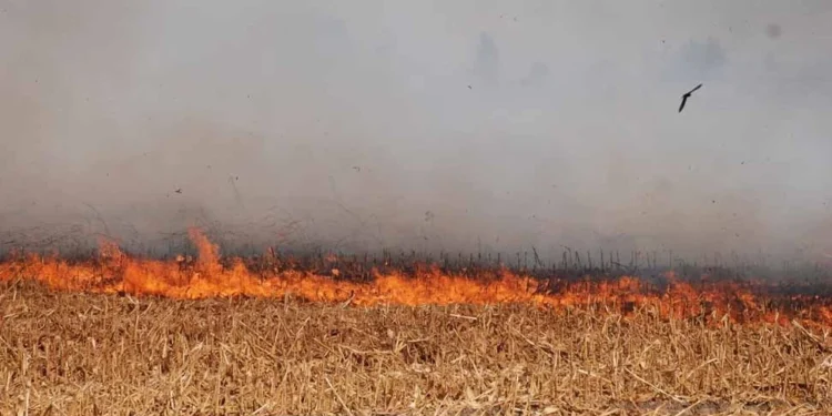 ÇINARLI’DAKİ YANGINA MÜDAHALE DEVAM EDİYOR