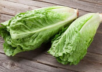 İLAÇ KALINTILI MARULLAR İMHA EDİLDİ