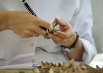 KAYIP ŞAHISLARLA İLGİLİ ORTAK DEĞİŞİKLİK ÖNERİSİ