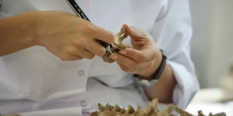 KAYIP ŞAHISLARLA İLGİLİ ORTAK DEĞİŞİKLİK ÖNERİSİ