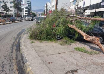 SICAK FIRTINA YAĞMUR VE DOLU