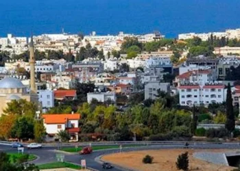 RUM MALLARININ SATIŞINDAKİ ARTIŞA ENDİŞE VE ÖFKE