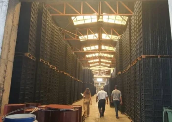 NARENCİYE KASALARI ÜRETİCİNİN ELİNDE KALDI