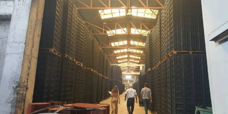 NARENCİYE KASALARI ÜRETİCİNİN ELİNDE KALDI