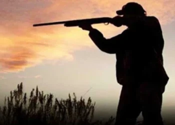 İNCE AV PAZAR GÜNÜ BAŞLIYOR