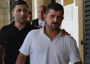 ADAYA NASIL GELDİĞİ BELLİ DEĞİL GÜNEYE GEÇERKEN YAKALANDI