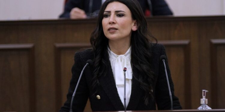 SAĞLIKTA  MECLİSE GÖNDERİLEN MEVZUAT ÇALIŞMALARINA HASSASİYET GÖSTERİLİYOR ANCAK İLERLEME YOK