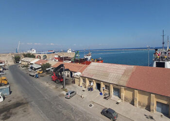 GÜMRÜKTEN MAL ÇEKMEME EYLEMİ