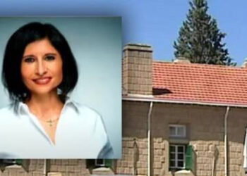 GÜNEYDE TUTUKLANAN ŞAHSIN AVUKATI TARAFINDAN YAPILAN ARA EMRİ BAŞVURUSU REDDEDİLDİ