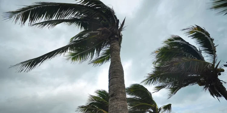 KARADA VE DENİZDE FIRTINA UYARISI