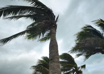 METEOROLOJİ: FIRTINAMSI RÜZGAR BEKLENİYOR