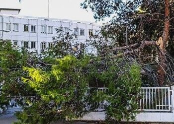 FIRTINA SONRASI ACİL MÜDAHALE ÇALIŞMALARI SÜRÜYOR