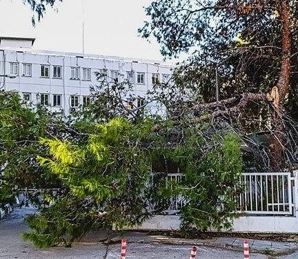 FIRTINA SONRASI ACİL MÜDAHALE ÇALIŞMALARI SÜRÜYOR