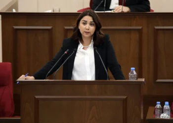 “YETERİNCE YÜKÜ OLAN SAVCILIĞI GEREKSİZ İŞLERLE MEŞGUL ETMEYİN”