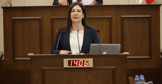 SUÇLARDAKİ ARTIŞIN EN BÜYÜK SEBEBİ NÜFÜS YOĞUNLUĞU