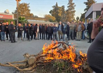 KURUMUŞ AĞAÇLAR ATEŞE VERİLDİ “AMBARGOYA HAYIR”