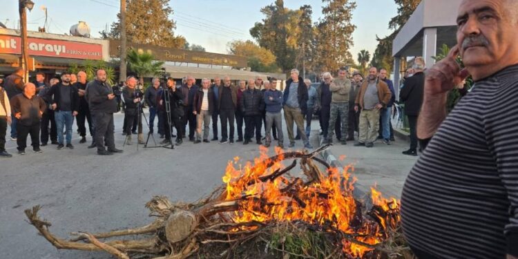 KURUMUŞ AĞAÇLAR ATEŞE VERİLDİ “AMBARGOYA HAYIR”