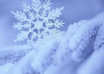 DONDURUCU SOĞUKLAR GELİYOR