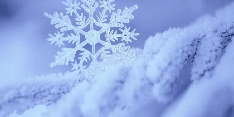 DONDURUCU SOĞUKLAR GELİYOR