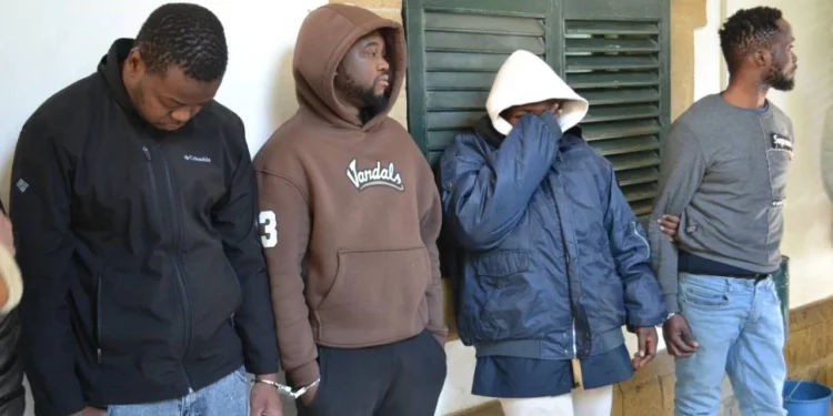 KÜÇÜK EKMEKLERİN İÇİNE UYUŞTURUCU KOYDULAR