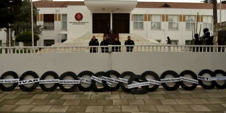 HAYVAN HAKLARI İÇİN MECLİSE SİYAH ÇELENK