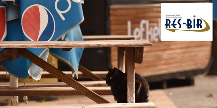 RESTORANLARA DA KUMARHANE İZNİ VERİLSİN MADEM!