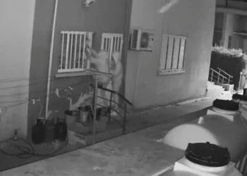 SERİ HIRSIZLAR YÜZÜNDEN KABUS YAŞADILAR