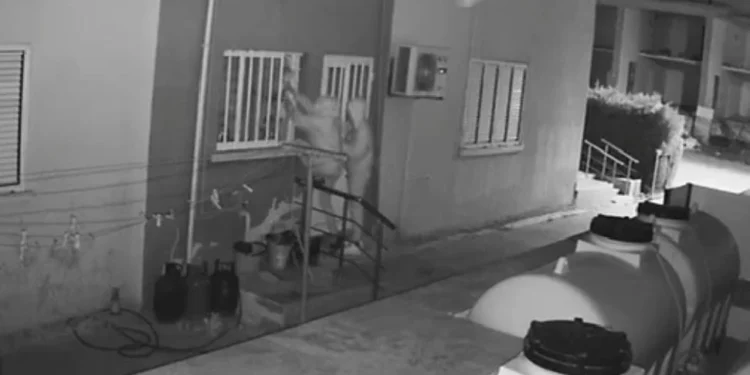 SERİ HIRSIZLAR YÜZÜNDEN KABUS YAŞADILAR