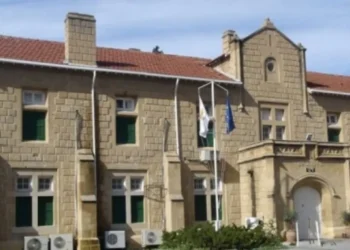 RUM MALINI SATIŞA TEŞVİK EDEN İKİ MACAR KADINA GÜNEYDE HAPİSLİK