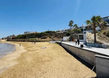 “HALKIMIZA DAHA YÜKSEK KALİTEDE HİZMET VEREBİLEN BİR HALK PLAJI PLANLADIK”