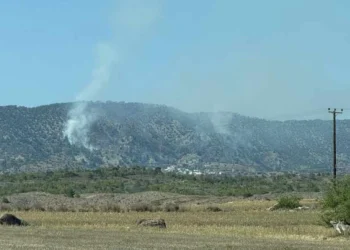 YAMAÇKÖY YANGINI İÇİN ACİL İHTİYAÇ LİSTESİ