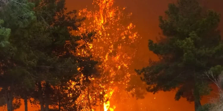 YANGINDA CİDDİ YARALANMALAR VAR