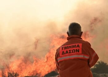 LİMASOL YANGININDA CAN KAYBI