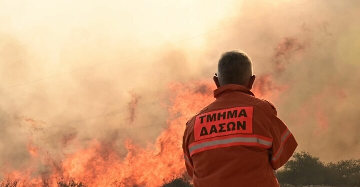 LİMASOL YANGININDA CAN KAYBI