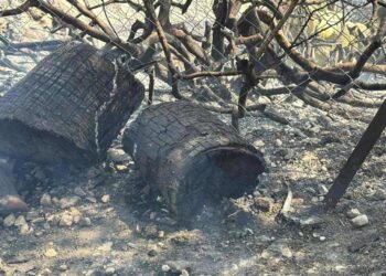 SON 50 YILIN EN BÜYÜK YANGINI