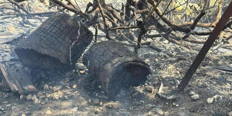 SON 50 YILIN EN BÜYÜK YANGINI