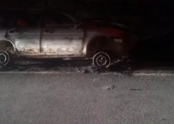 YANMIŞ CESETLERİN KİMLİĞİNİ BELİRLEMEK İÇİN DNA TESTİ