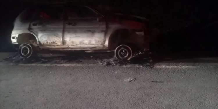 YANMIŞ CESETLERİN KİMLİĞİNİ BELİRLEMEK İÇİN DNA TESTİ