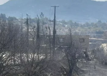 125 KİLOMETRE KARELİK ALAN KÜL OLDU