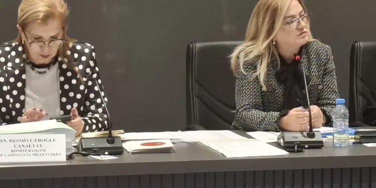 OMBUDSMAN BÜTÇESİ OY BİRLİĞİYLE KABUL EDİLDİ