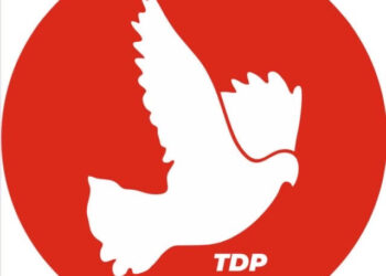 TDP, “HER ŞEY KONTROL ALTINDAYDI SÖYLEMİ, KURŞUN SESLERİYLE ÇÖKTÜ.”