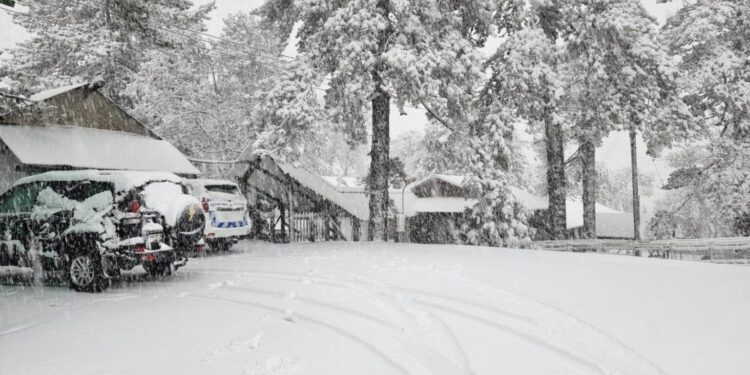 TRODOS’TA SICAKLIK -6’YA DÜŞTÜ