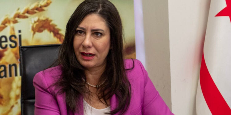 ÖNLEYİCİ GÜVENLİK POLİTİKALARI GECİKMEDEN HAYATA GEÇİRİLMELİ