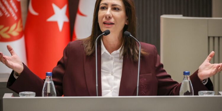 Ziya Öztürkler ve diğer dosyalar hakkında bilgi almak için yarın polise gideceğiz