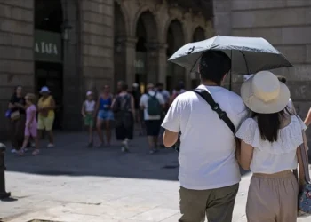 Avusturya’da 41 dereceyle tüm zamanların sıcaklık rekoru kırıldı